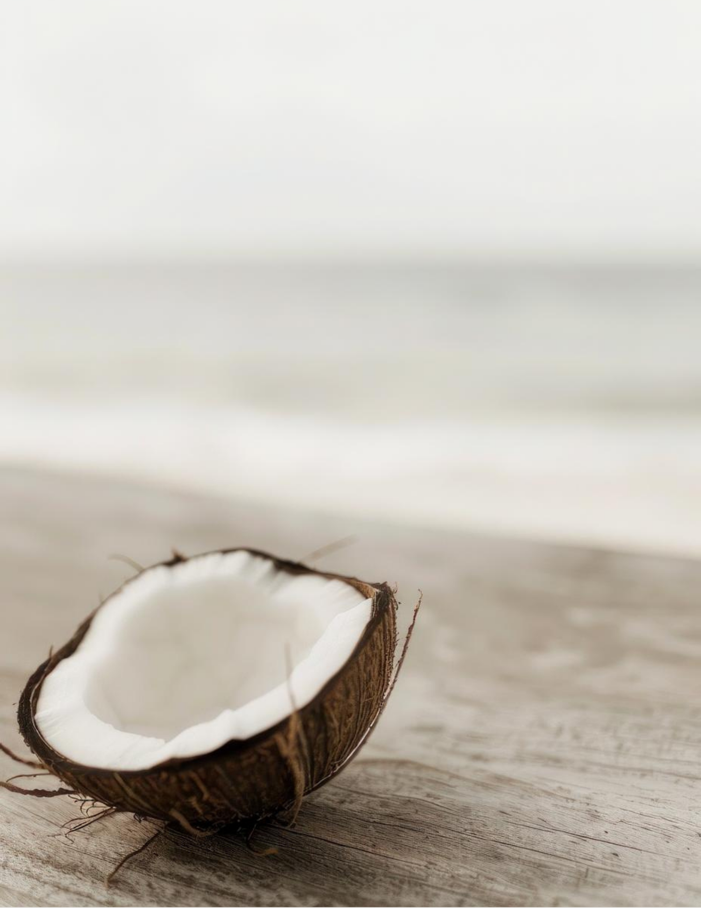 COASTAL VIBES STOCK IMAGERY COLLECTION